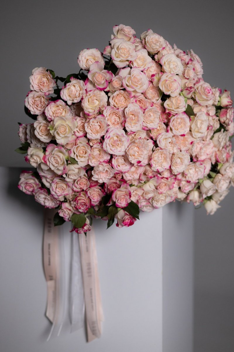 Sprey Rose