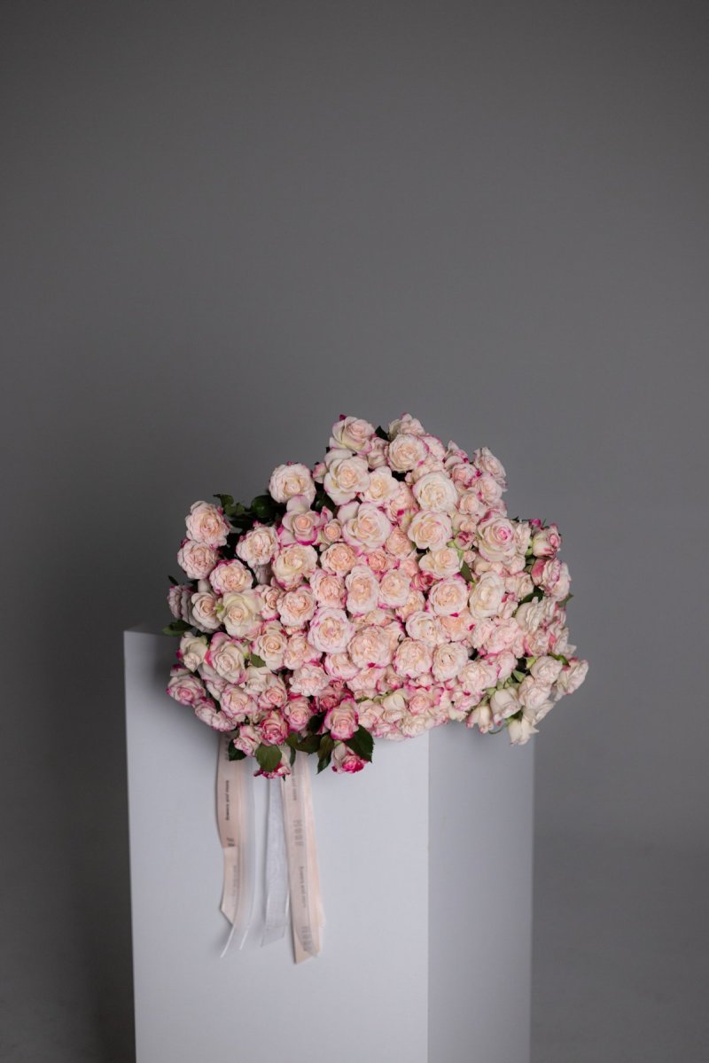 Sprey Rose