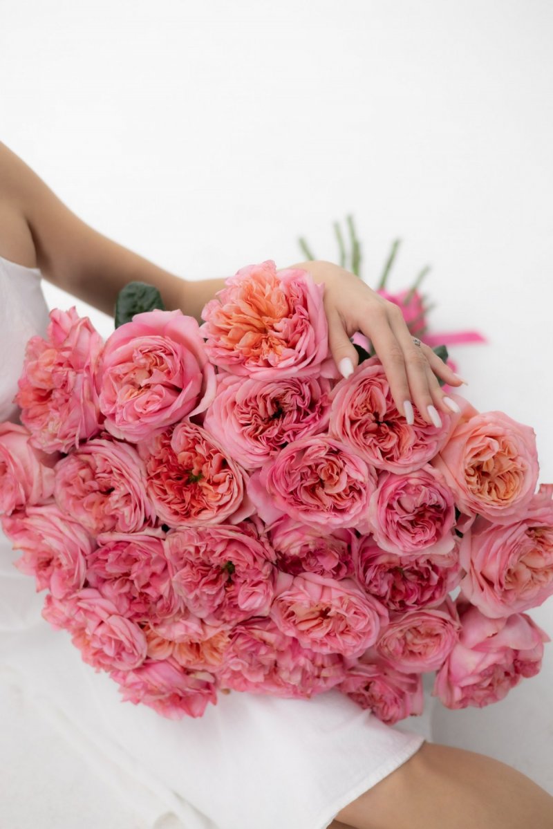 Pink Ex-Pression